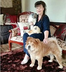 The breeder with chows & a toypom