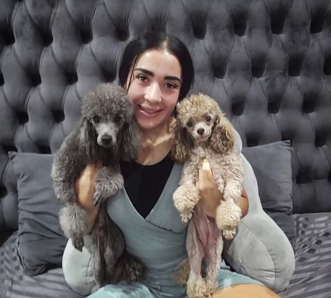 Nicole with 2 French poodles.