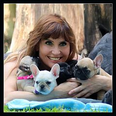 Breeder with armful of puppies