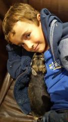 The grandchildren help socialise the puppies
