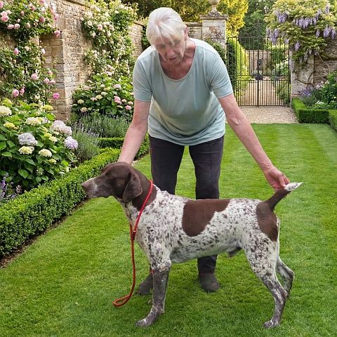Ingrid with German Shorthaired Pointer.